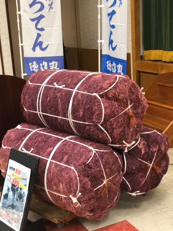 日本「「東伊豆町稲取で、トコロテン作り」」の写真：美味しかった❣️