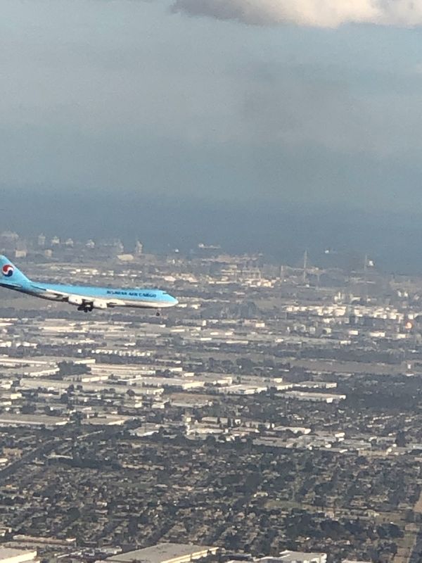 アメリカ(米国)「「弾丸世界一周①日本→LA→NY→ベルギー→日本」」の写真：シーフード🦐が美味しかった。