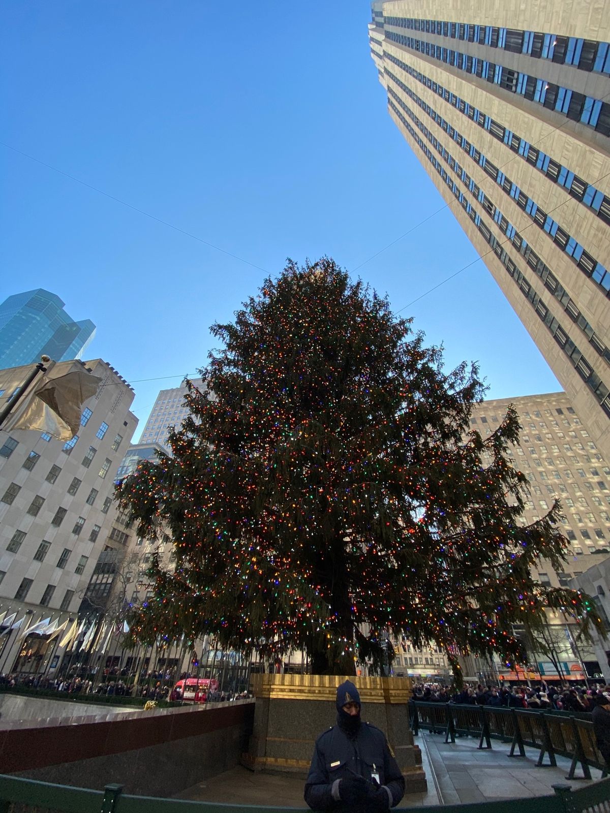 宿泊はザ・スタンダード　ニューヨーク、ミュージカルはChicago、市内観...