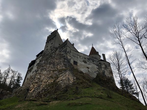 ルーマニア「ドラキュラに会いにルーマニアへ」の写真：初めてアイアン・メイデンを見ました
食事...