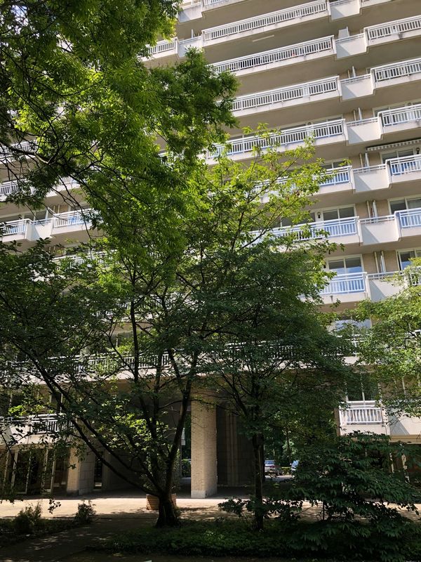 ベルギー「「弾丸世界一周 17 ベルギー」」の写真：懐かしいね。