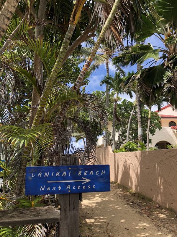 アメリカ(米国)・オアフ島「ハワイ2018」の写真：ラニカイビーチに続く道がほんとにすき。