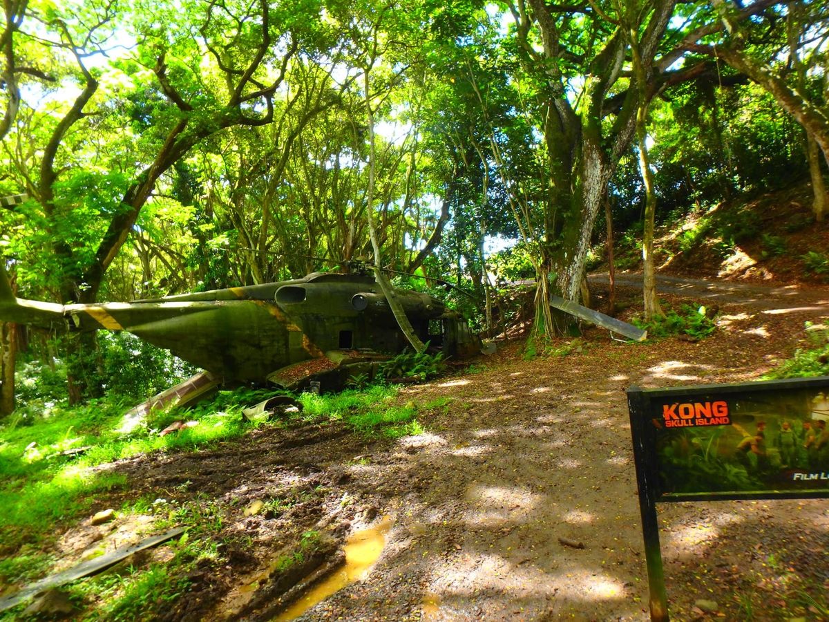 初めてクアロアランチにきました。ジェラシックパークのロケ地。バギー乗りまし...