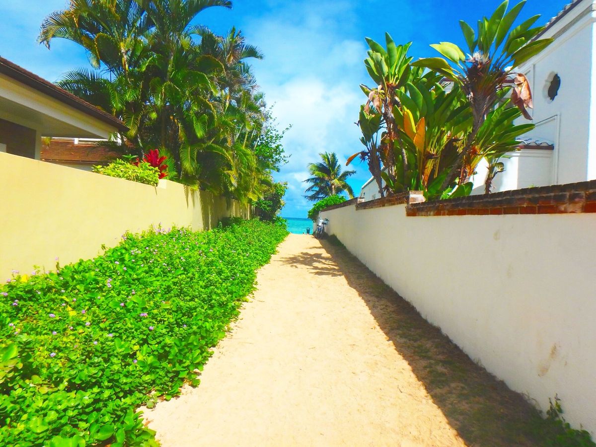 ラニカイには毎回来てたけどラニカイピルボックスにのぼったのはこのときははじ...