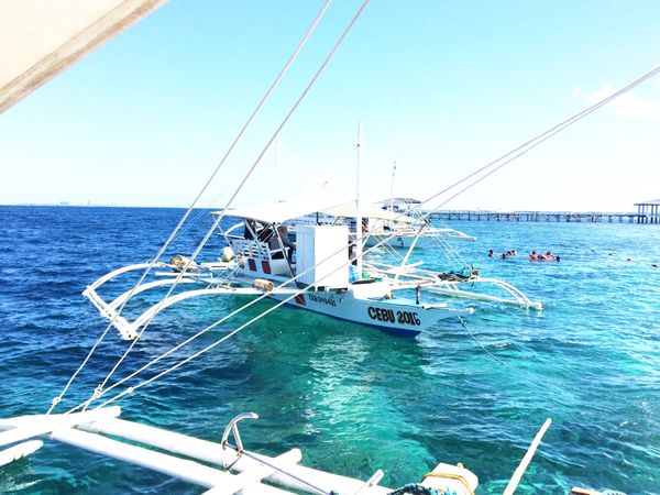 フィリピン・セブ島「セブ島旅行」の写真：シュノーケル。もう本当に海がびっくりする...