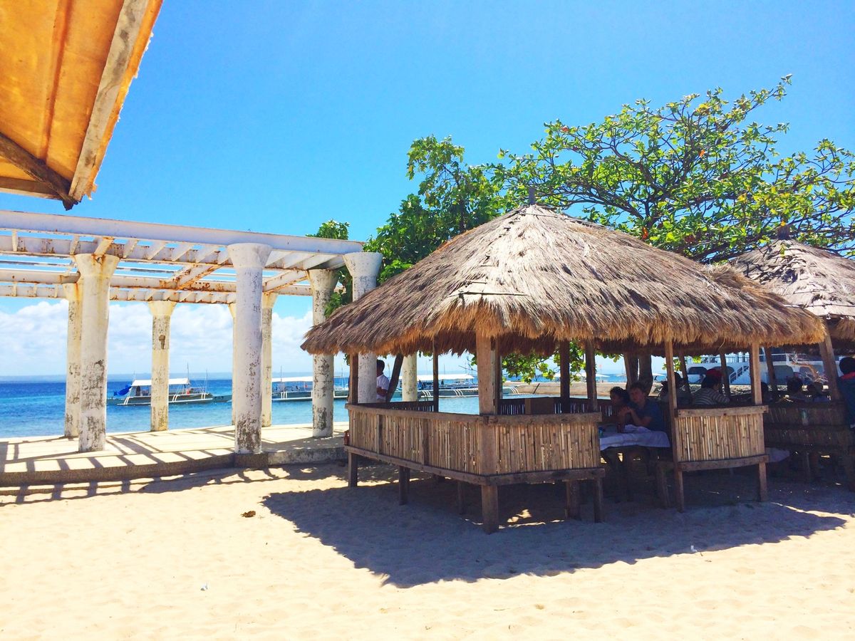 きれいでした。