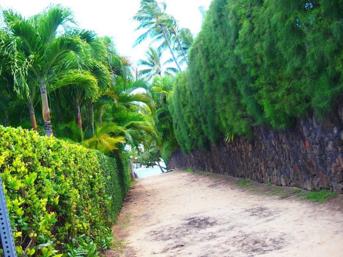 ラニカイとカイルア　毎回来た時は違う道の写真を撮るようにしてるよ