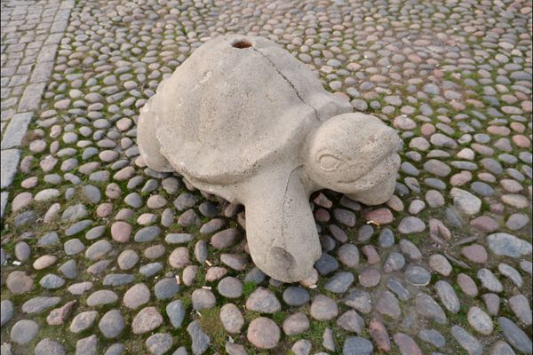 フィンランド「ヘルシンキひとりたび」の写真：フィンランド のカモメはでかい