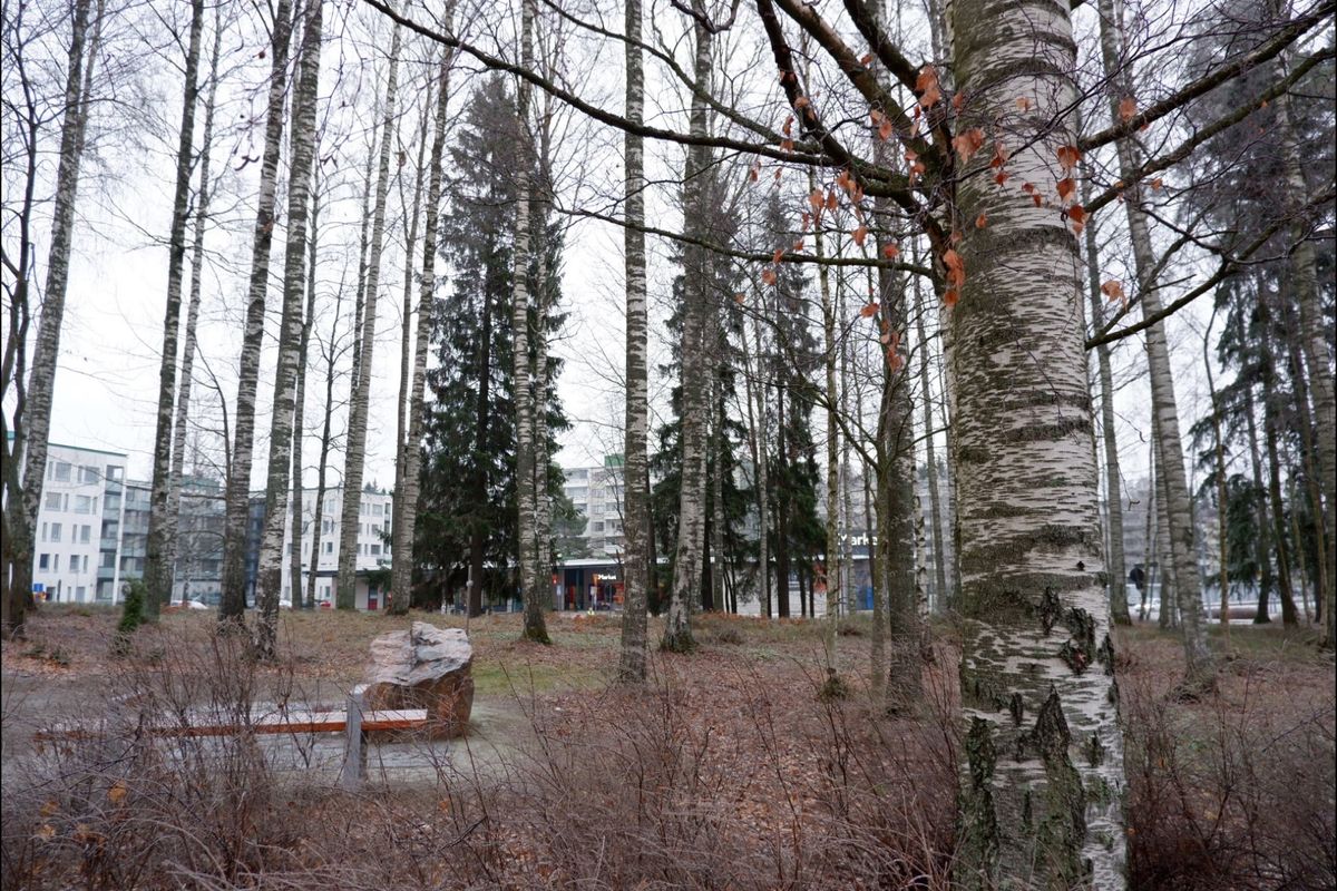 ヘルシンキ大聖堂の隣の図書館オススメです！！