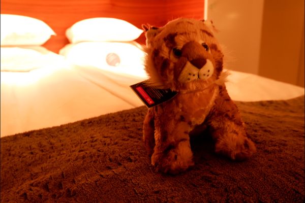 フィンランド「ヘルシンキひとりたび」の写真：ホテルも大満足！！