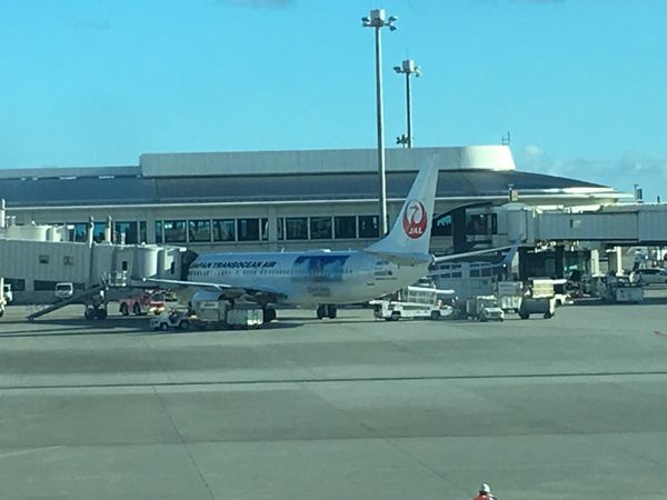日本「沖縄　安室ちゃん引退ツアー」の写真