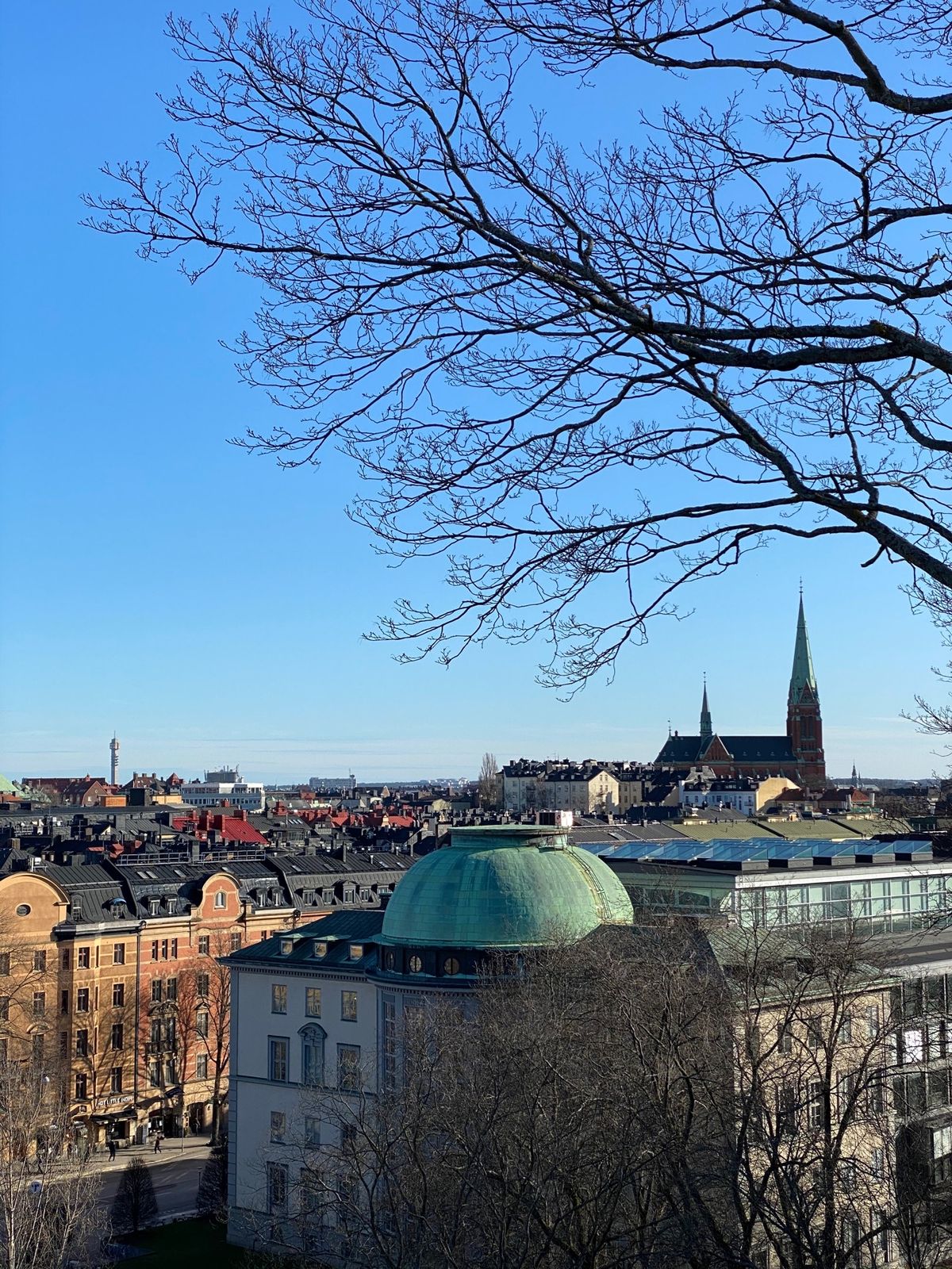 2枚目はMinako Sushi、3枚目はTotemo ramen、4枚目...