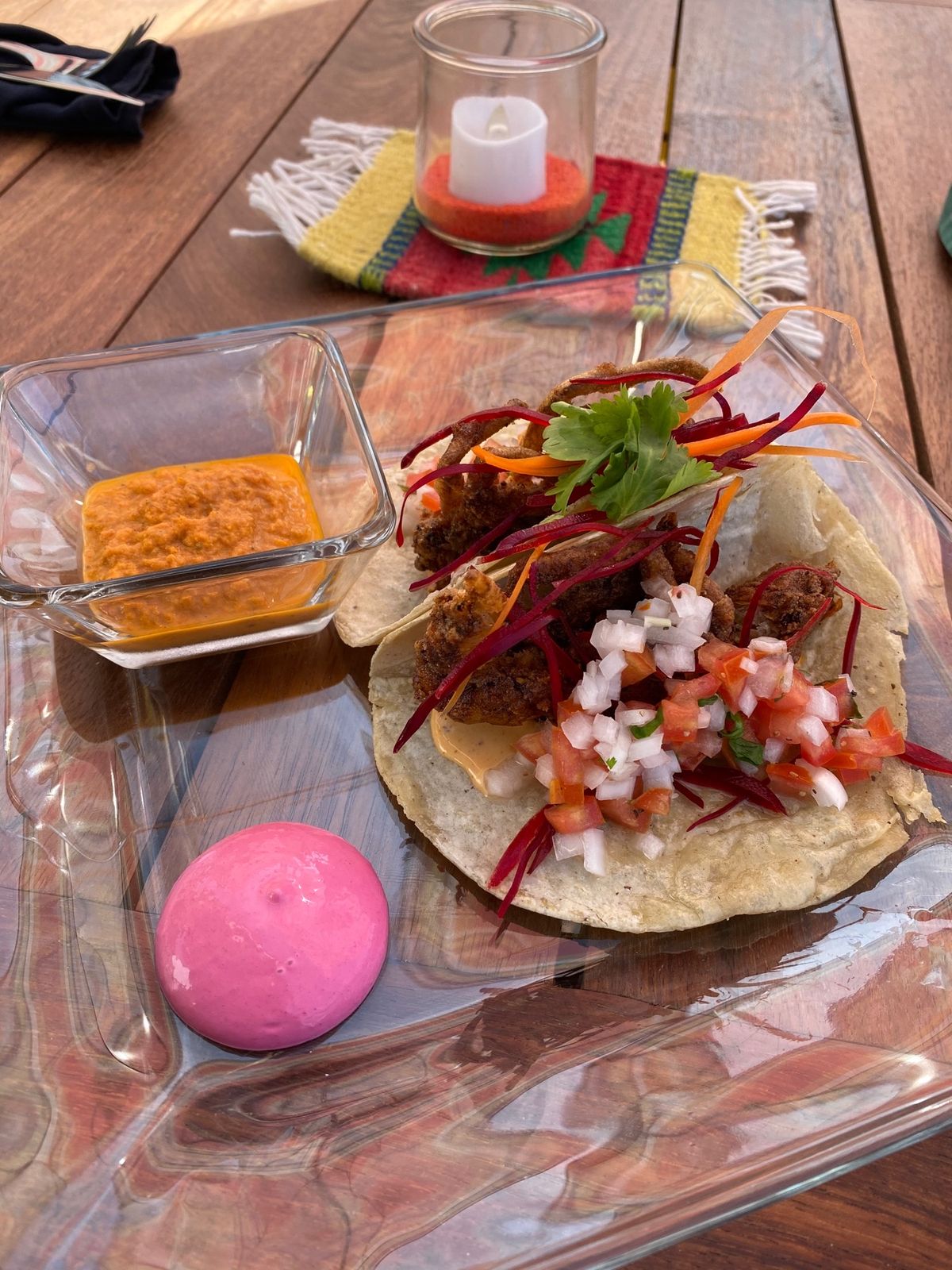 ホエールウォッチングは楽しい
港でイグアナにも遭遇しました