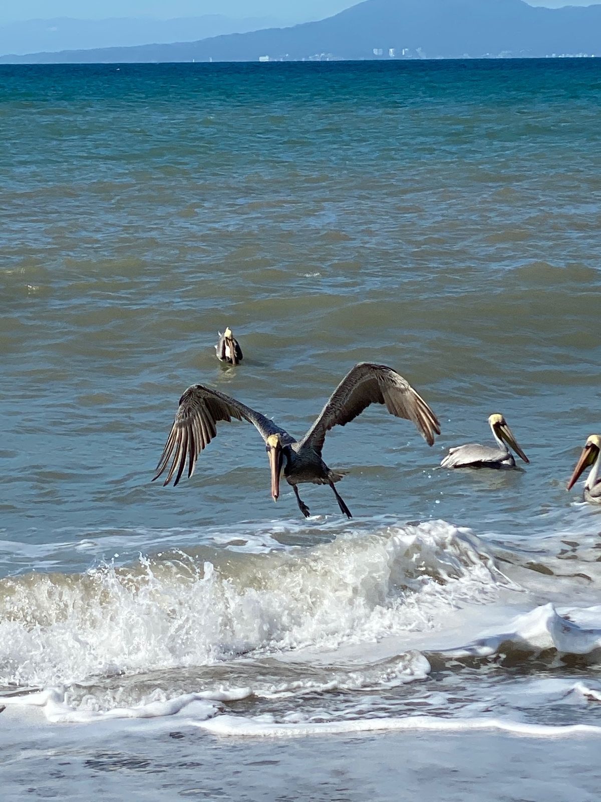 メキシコは食事が美味しい