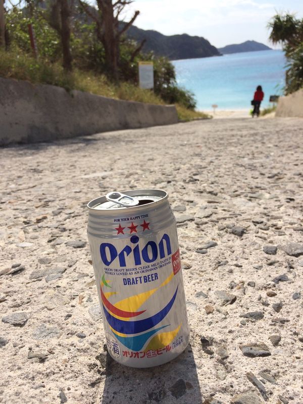 日本・沖縄「満身創痍の沖縄旅行」の写真