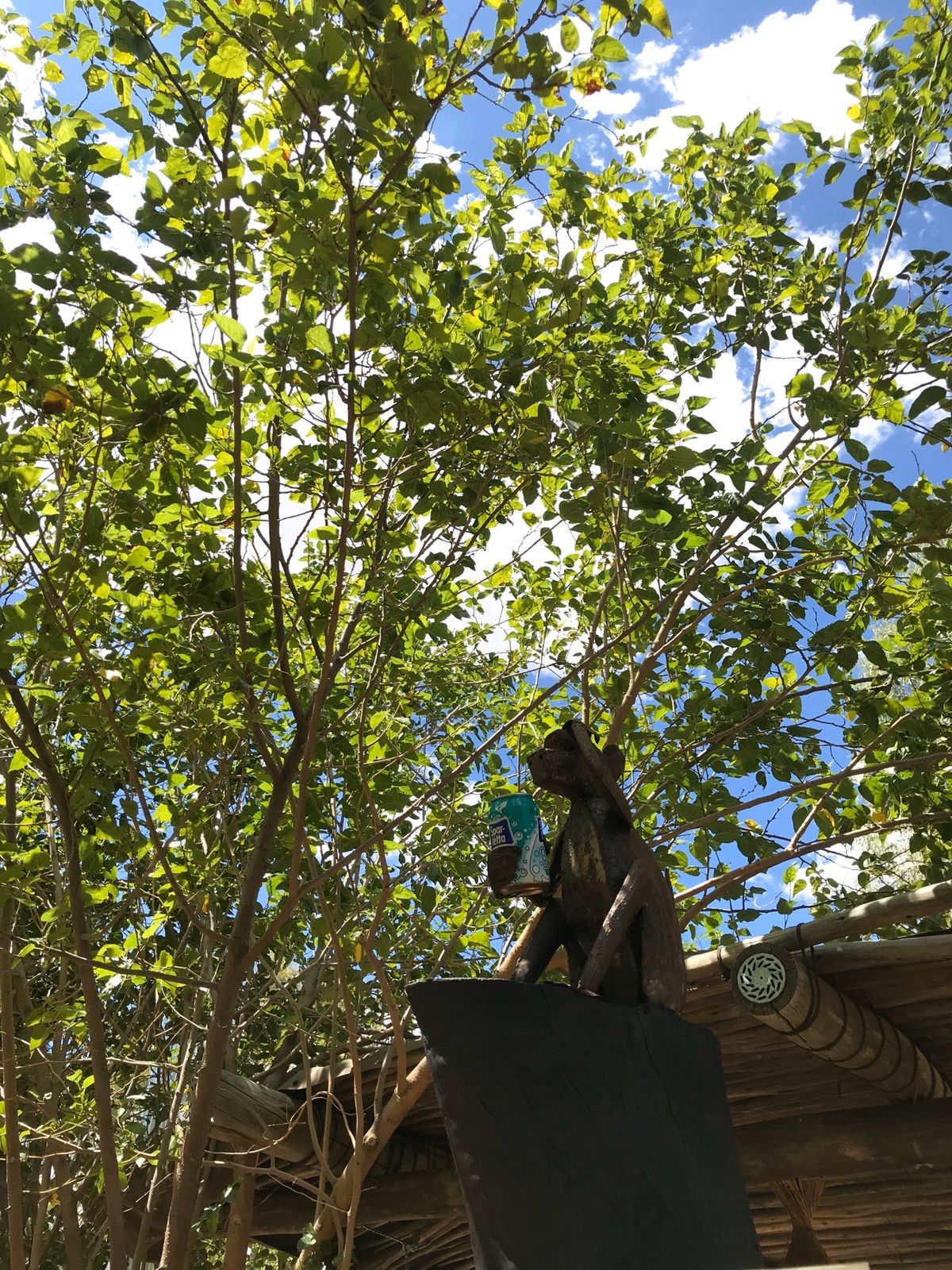 ホセア・クタコ空港からウィントフックの中心地まで
タクシー一択でしたな

...