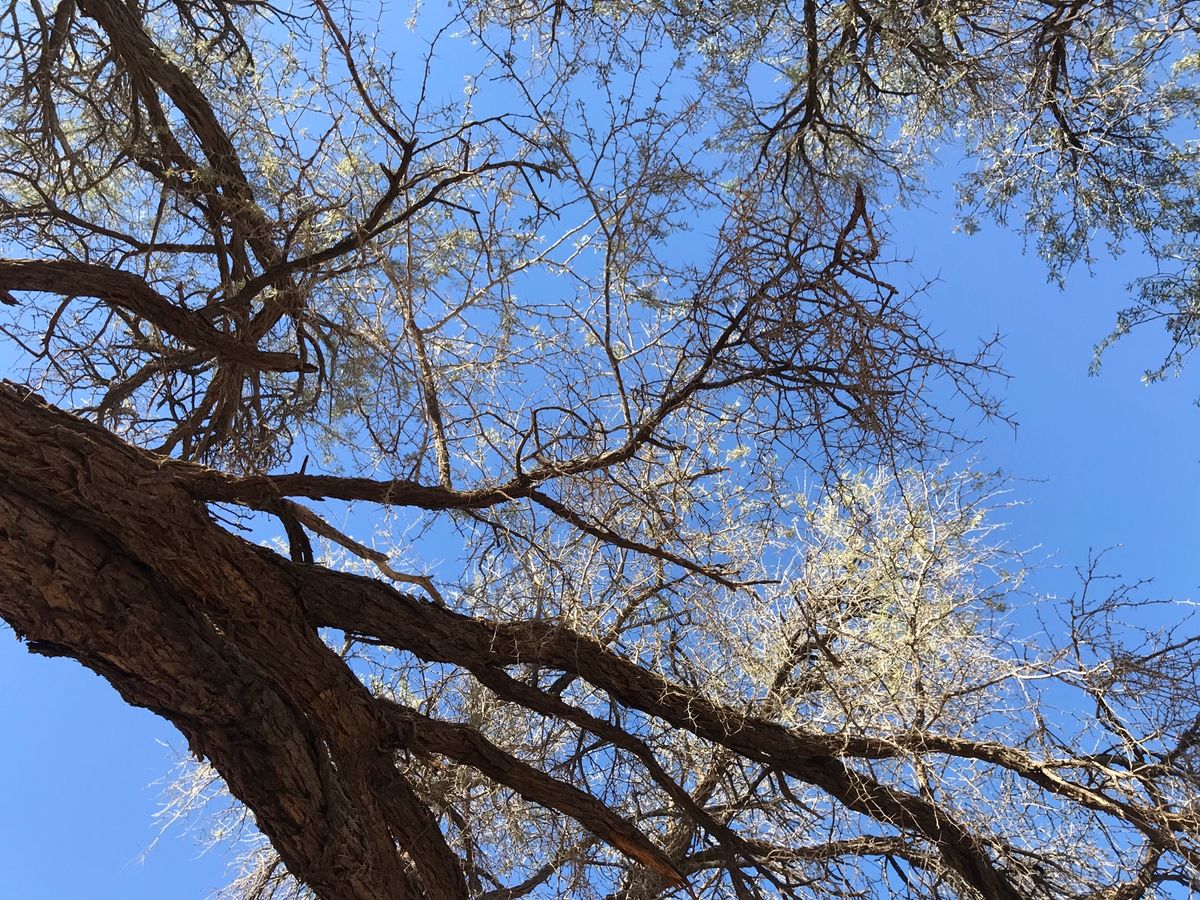 砂漠へは２泊３日のツアーで

街から遠ざかると、だんだん未舗装道路
乾いた...