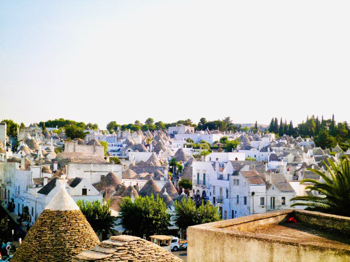 「美しい樹」の意味を持つアルベロベッロ
青い空、白い壁、植物の色のコントラ...