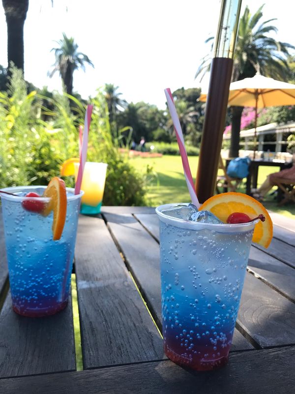 日本・熱海「再びの熱海　女4人旅」の写真