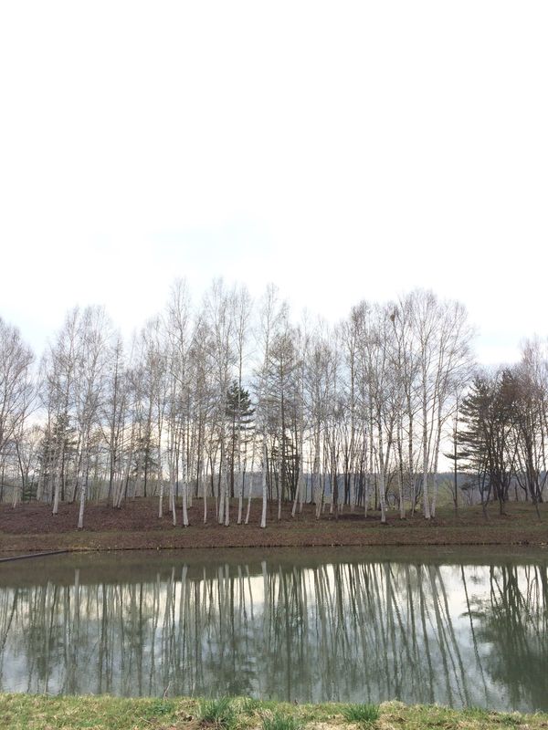 日本・旭川「北海道中心をうろうろする旅」の写真