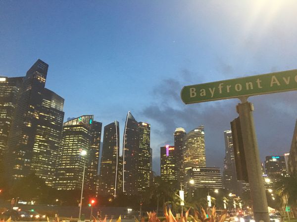 シンガポール「シンガポール」の写真：Singapore💕
先進的だけど、自然...