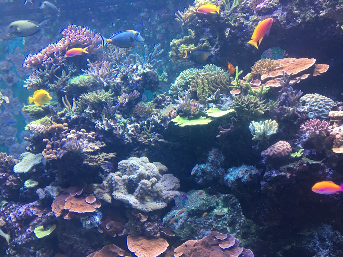 Singapore💕
先進的だけど、自然も溢れててすごくいい国だった😌💕
...