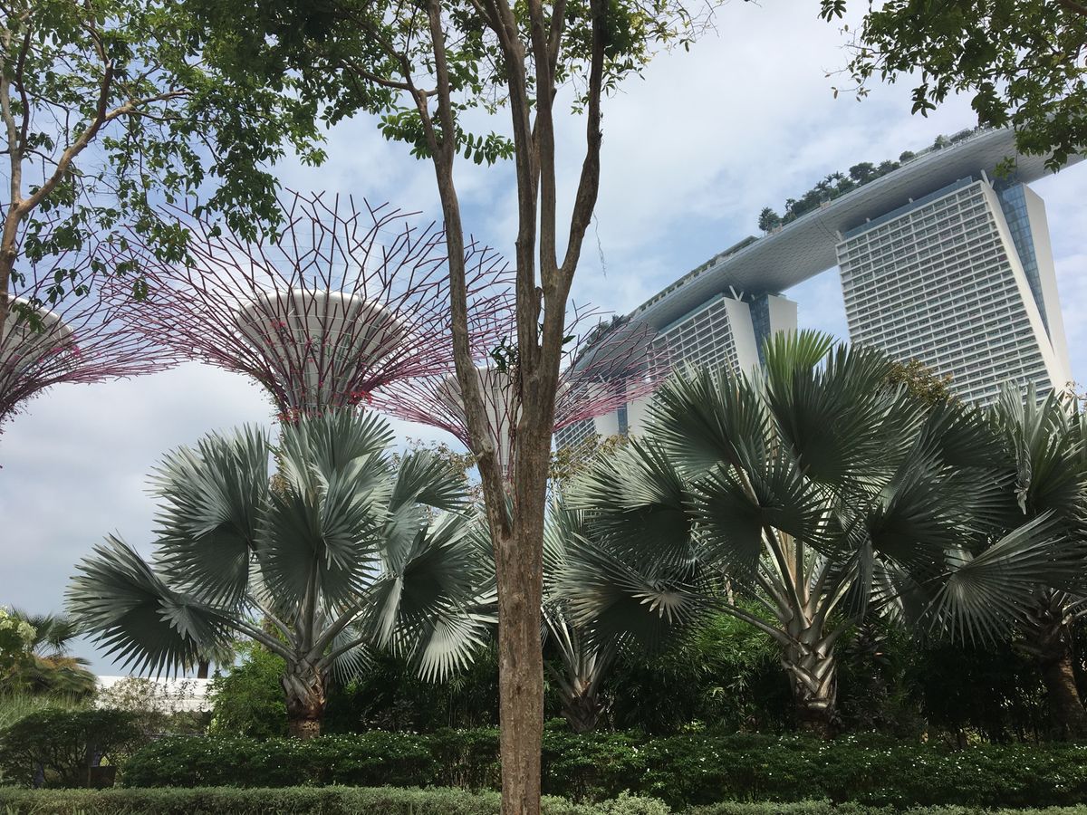 Singapore💕
先進的だけど、自然も溢れててすごくいい国だった😌💕
...