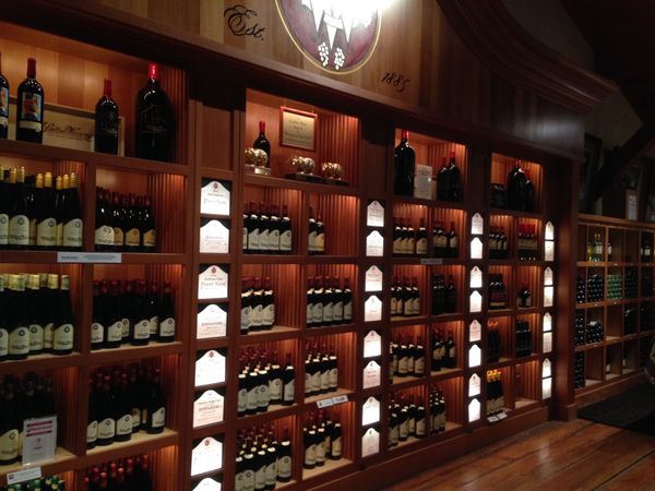 アメリカ(米国)・ホノルル「第2の故郷」の写真：ヴィンヤード