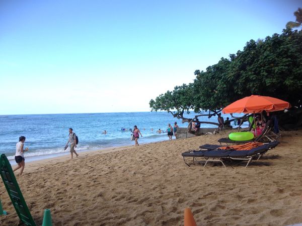 アメリカ(米国)・ホノルル「第2の故郷」の写真：出発までお散歩。