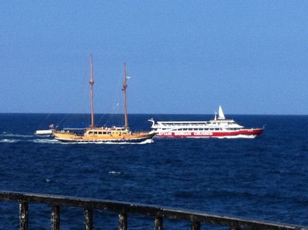 マルタ・バレッタ　「国際学会」の写真：初マルタ〜❗️