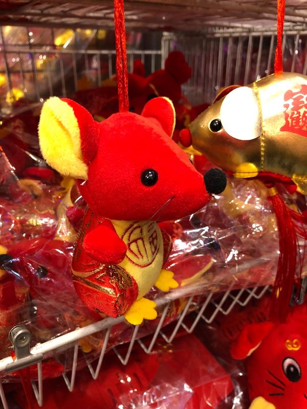 台湾・新竹「台湾新竹」の写真：今年の1月に行った時のものです。この時期...