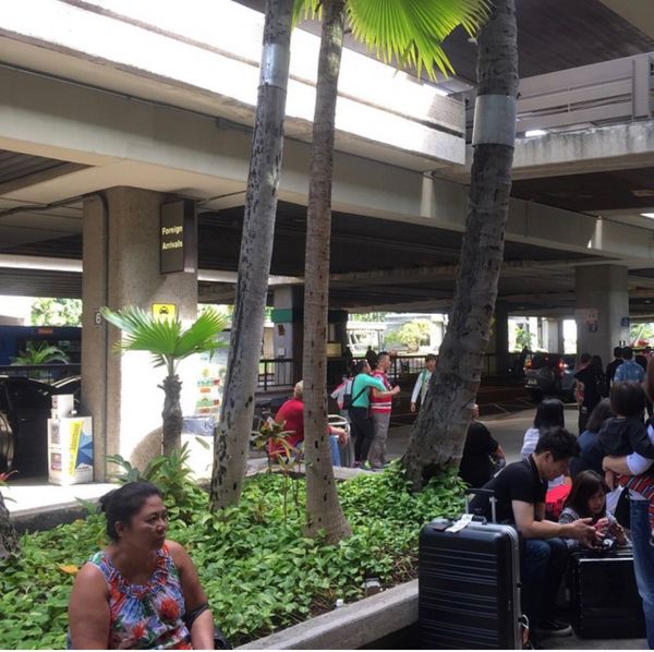 アメリカ(米国)・hawaii「社員旅行」の写真