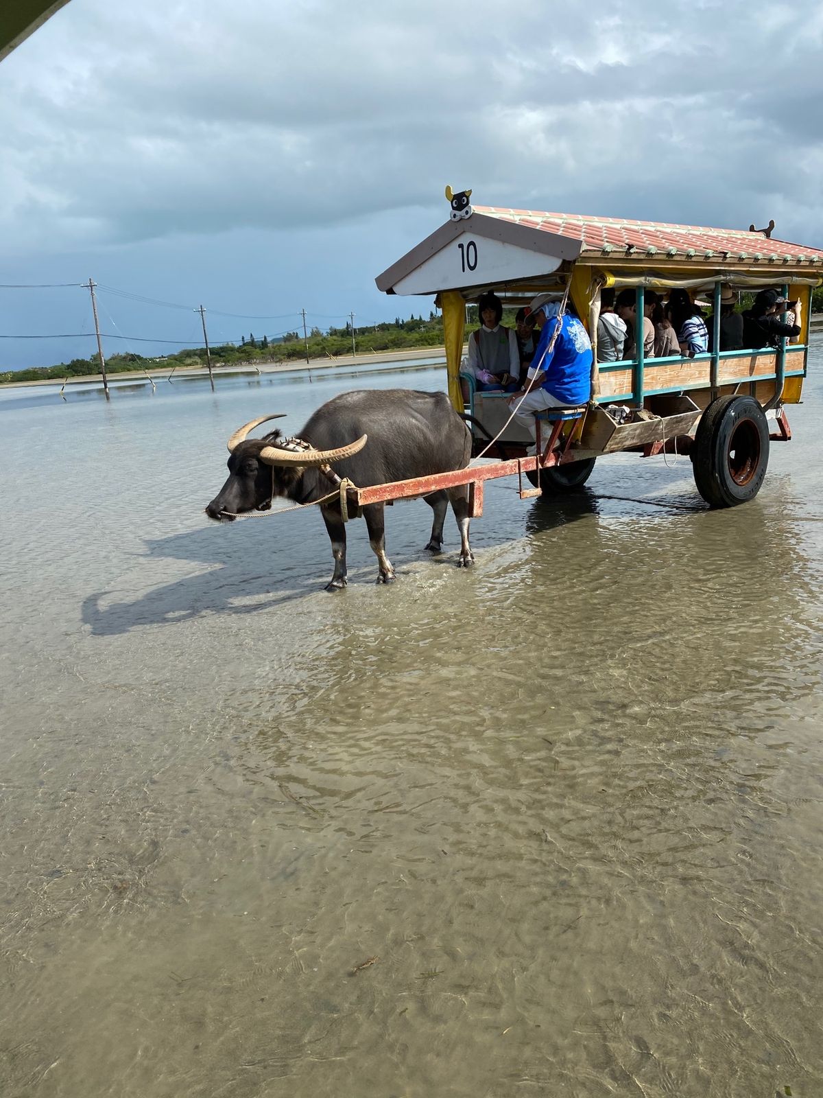 美原入口からの由布島