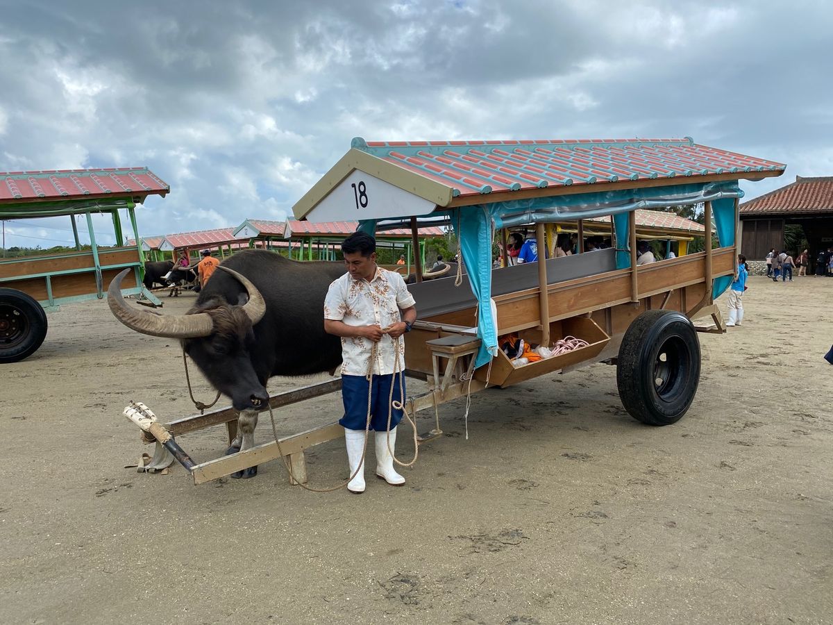 美原入口からの由布島
