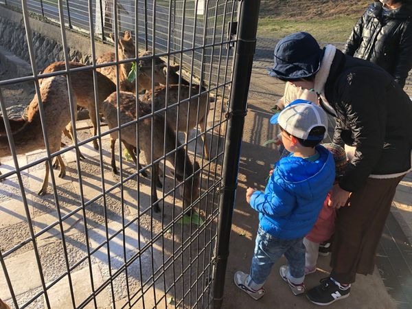 日本・長崎市「長崎日帰り」の写真