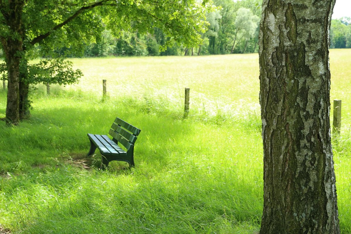 キーム湖のヘレンキームゼー城の宮殿はベルサイユ宮殿の真似っこだそうですね☆