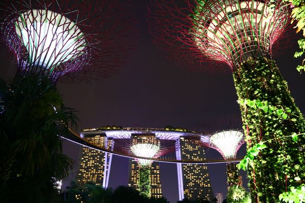 シンガポール・マリーナベイサンズ「シンガポール　5日間」の写真：大人の街✨洗練された夜景が👍