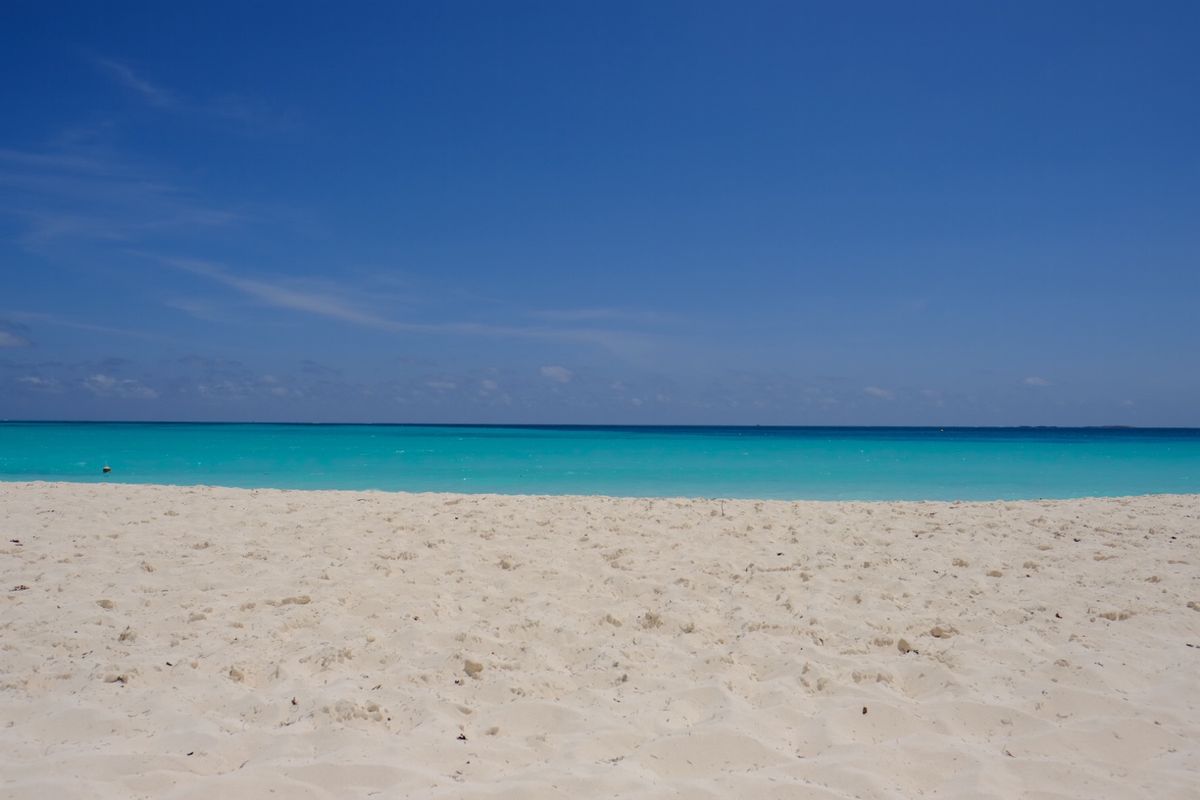 カヨラルゴ島のビーチと近くの島の🦎