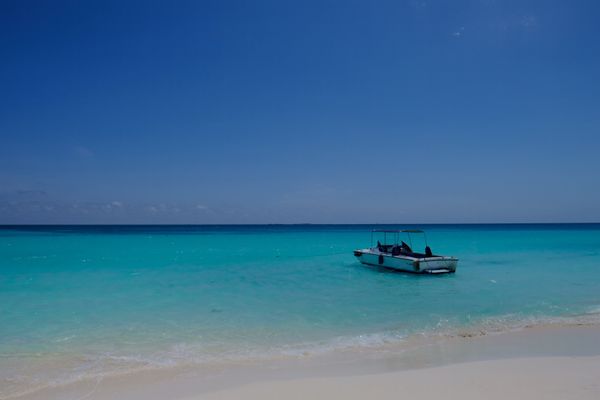 カナダ・トロント「ハバナ+カヨラルゴ🇨🇺」の写真：カヨラルゴ島のビーチと近くの島の🦎