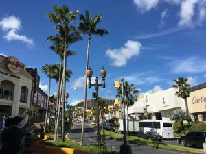 アメリカンなお気軽リゾート感("▽")
今度はハワイに…("▽")イキタイ