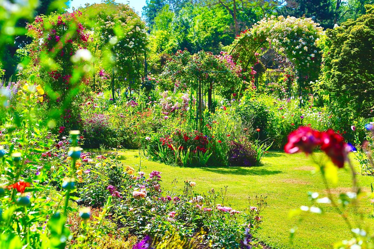 ジベルニー「モネの家」
とてもお庭が美しく手入れが行き届いてました！
来れ...