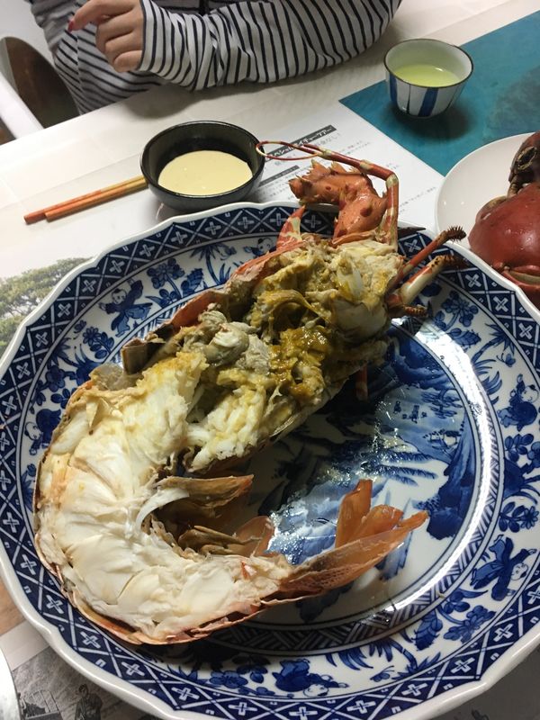 日本・石垣島「石垣島〜西表島」の写真