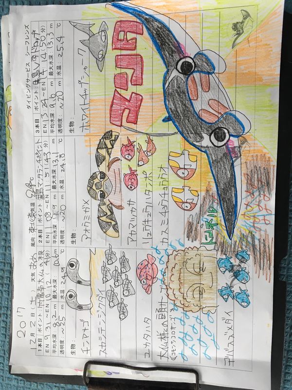 日本・石垣島「石垣島〜西表島」の写真：ダイビング