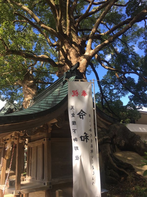 日本「太宰府」の写真