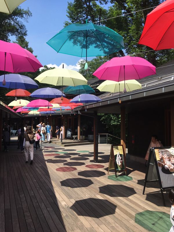 日本「北軽井沢」の写真