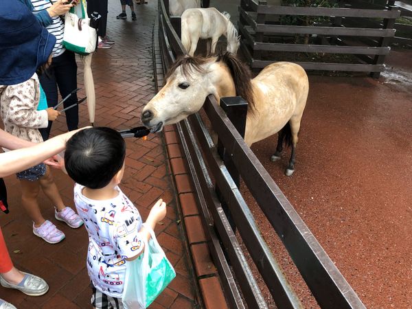 日本・大分県「別府家族旅行」の写真