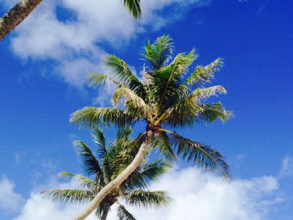 グアム「Guam trip🇬🇺🌴」の写真