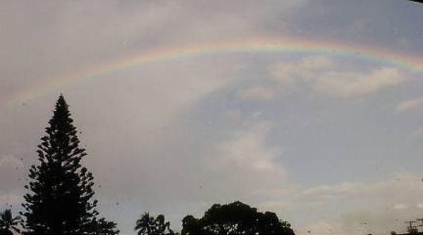 アメリカ(米国)・ハワイ「卒業旅行in ハワイ(ホノルル ) @1回目」の写真