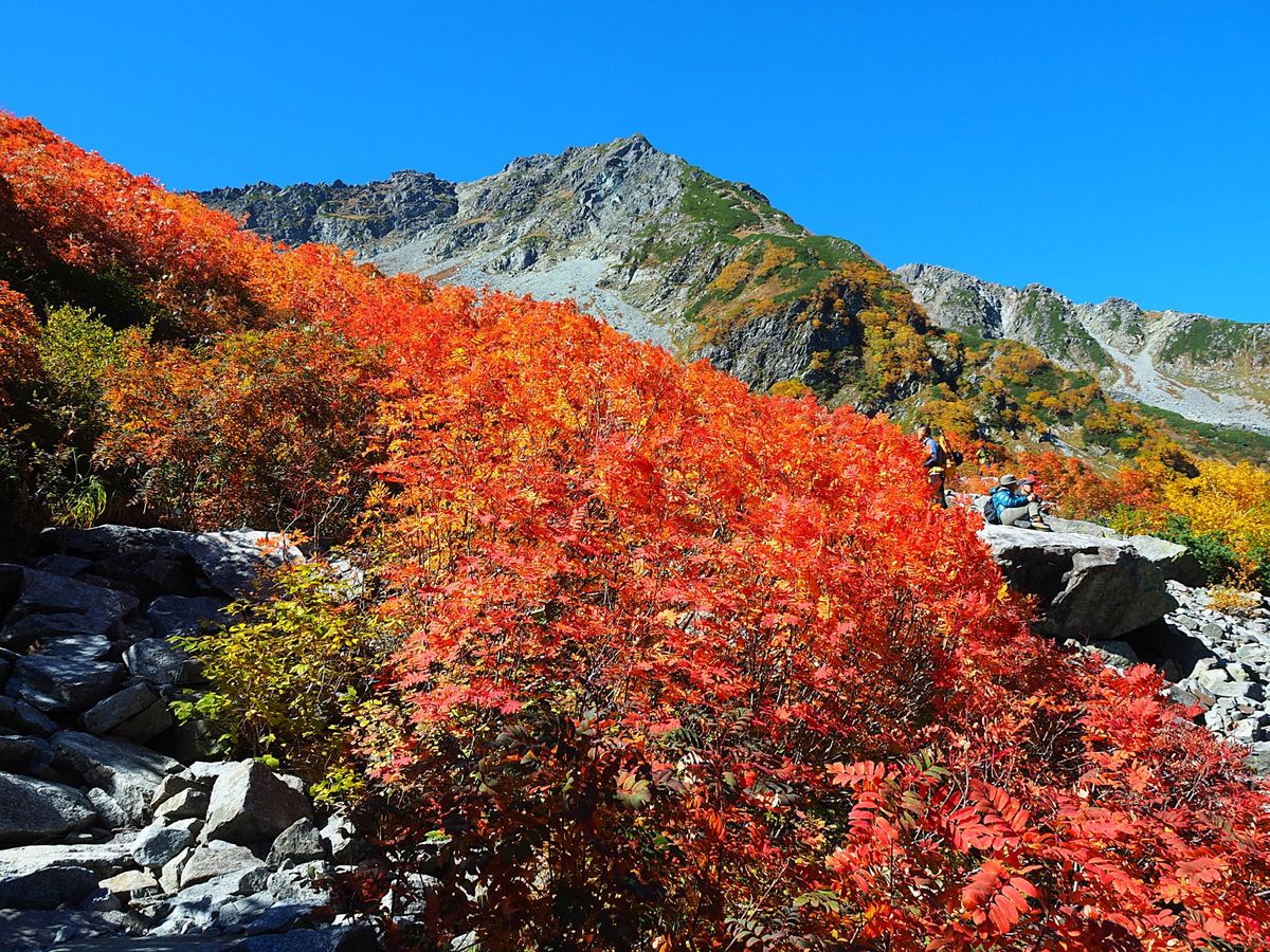 1日目は上高地を出発し、紅葉が有名な涸沢カールを通過すると、急勾配のザイテ...