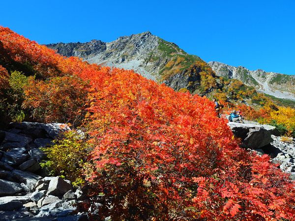 日本・上高地「紅葉の始まった奥穂高岳へ」の写真:1日目は上高地を出発し、紅葉が有名な涸沢...